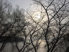 -杭州西湖风景名胜区-钱塘苏小小之墓