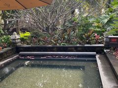 -厦门日月谷温泉渡假村