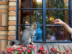 -马勒别墅饭店(静安寺店)