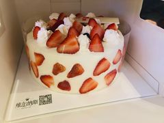 -维尔纳斯·生日蛋糕动物奶油冰淇淋蛋糕(人大店)