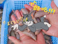 -常家活海鲜小吃(仅一家无分店)