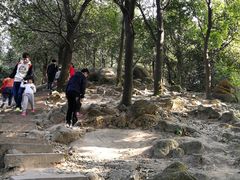 -火炉山森林公园