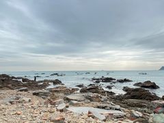 -西涌国际滨海旅游区