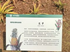 -中国科学院西双版纳热带植物园