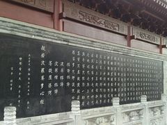 -骏途旅游