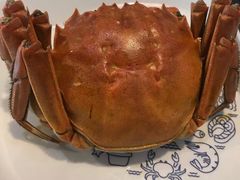 -拾贝海鲜馆（海鲜粤菜）(花果园店)