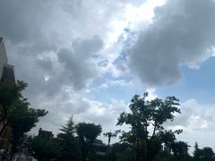 -山东外贸职业学院