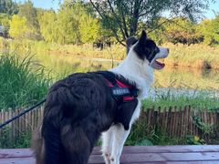 -Supine Bistro溯泮餐厅