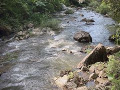-广州市石门国家森林公园