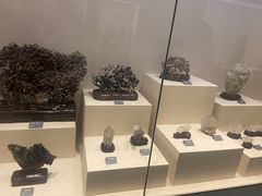 -安徽省地质博物馆