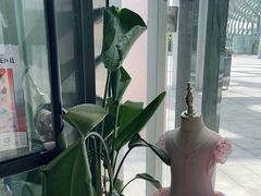 -邓肯舞蹈教育(深圳湾教学中心)