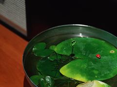 -慢象咖啡(台江店)