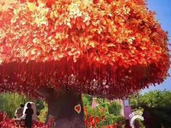 -郑州方特梦幻王国