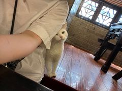 -张记牛肉面馆(天津路店)