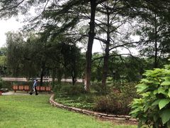 -东莞植物园