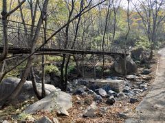 -云岫谷游猎自然风景区