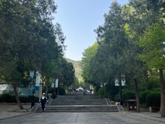 -千佛山风景名胜区