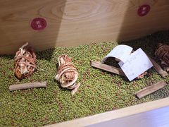 -炖物24章·顺时轻养茶(杭州保利时光里店)