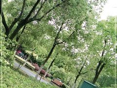 -合肥野生动物园