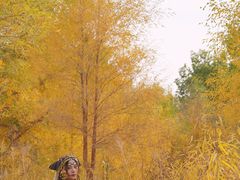 -金塔沙漠胡杨林景区