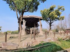 -上海野生动物园