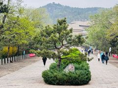 -府君山公园
