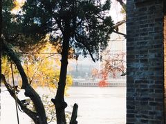 -江心屿景区