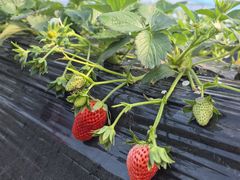 -侬佳蒸菜馆(听潮店)