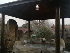 -金孔雀温泉旅游度假村