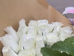 -双季花艺园艺市场(浦东店)