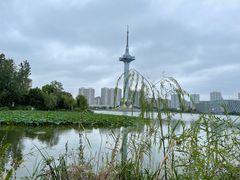 -聚龙湖公园