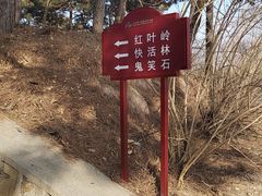 -北京西山国家森林公园