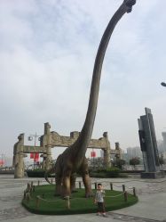 -恐龙探索乐园(磁器口店)