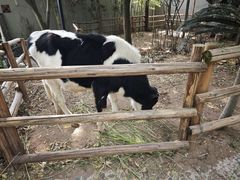 -海兰云天度假区温泉