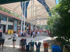 -雅鲁激流探险漂流