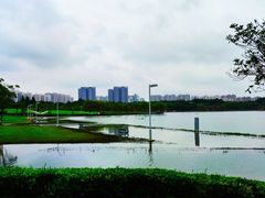-白塘生态植物园