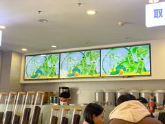 -雾与山茶(大禹城店)
