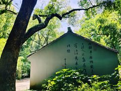 -兰亭风景区