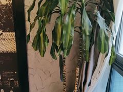 -上下九广州菜馆(锦业路店)