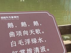 -田园东方蜜桃村的田野营地