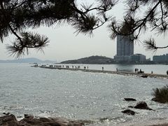 -青岛第二海水浴场