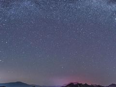 -和月楼牛羊肉泡馍