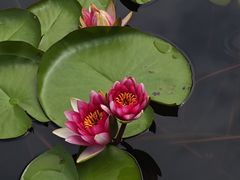 -白鹭湾湿地公园