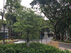 -星巴克(深圳侨城街店)