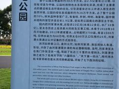 -江滩湿地公园