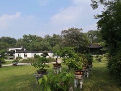 -盆景园(扬州大运河文化旅游度假区)