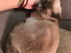 -MIKAKU(万达广场上海宝山店)