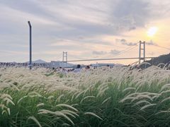 -威远炮台