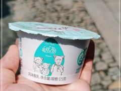 -狐狸家·酸奶酪专门店(平江路店)