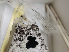 -糖涩(金地广场店)